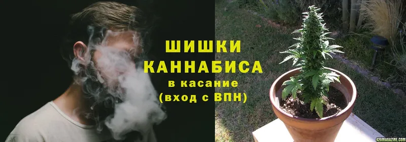 KRAKEN ССЫЛКА  Зима  Шишки марихуана Amnesia 